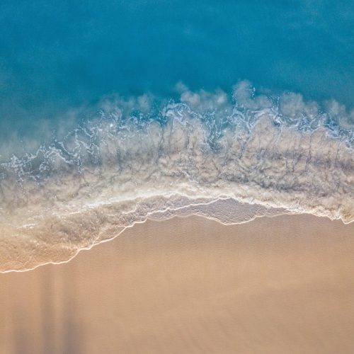 photo-1587488372174-70d1b0c89bb2